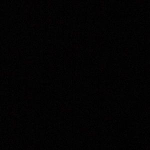 Meet your Posher, Leila